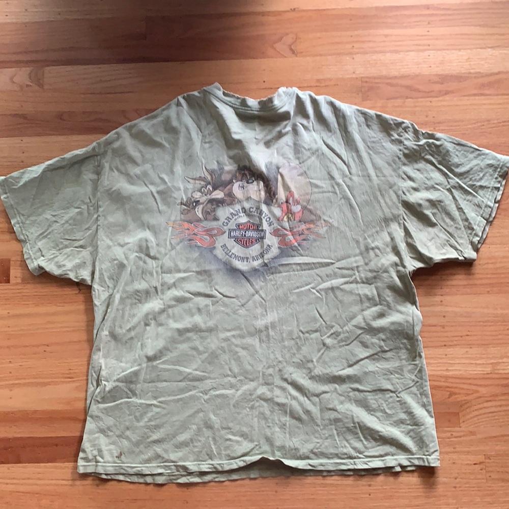 Vintage Harley Davidson Shirt.